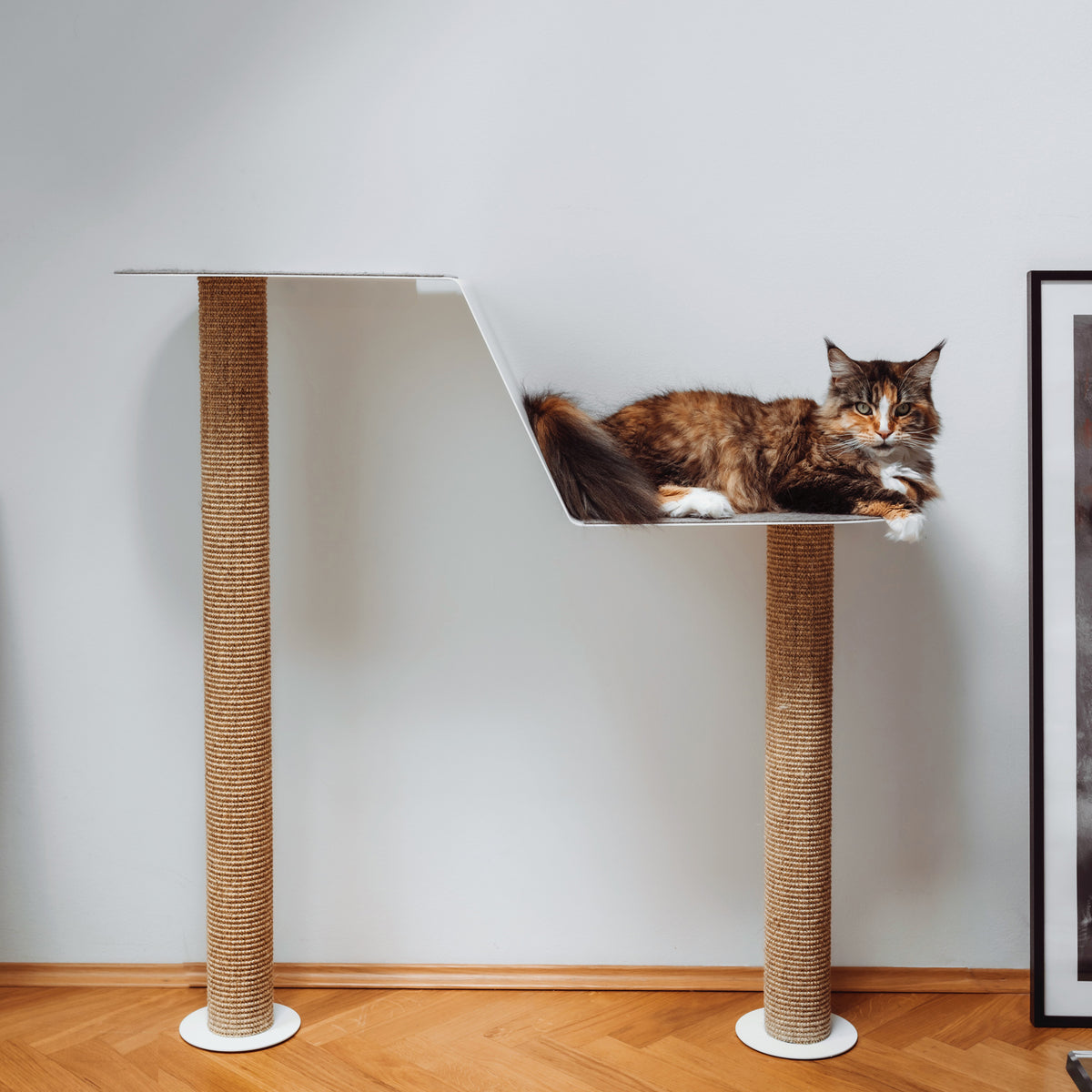 MAISONETTE wall-mounted cat tree