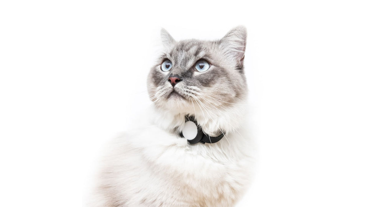 NEMO AirTag Katzenhalsband (Silikon)