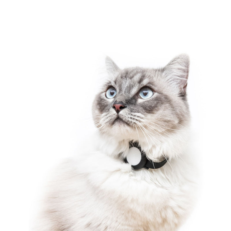 NEMO AirTag Katzenhalsband (Silikon)