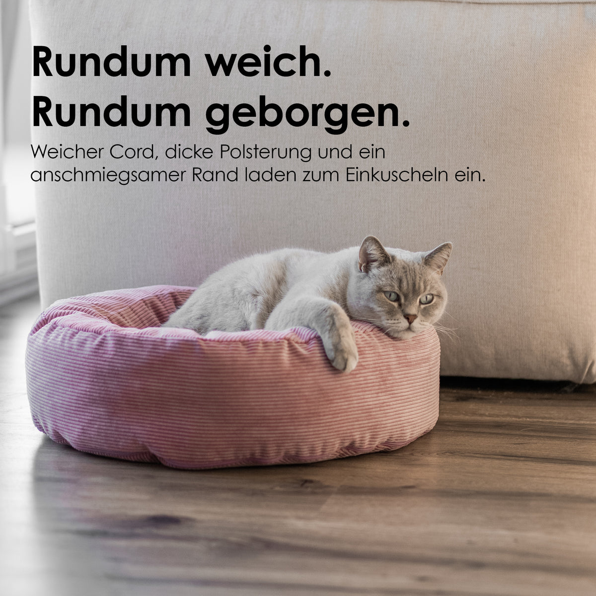 NEST kattenmand