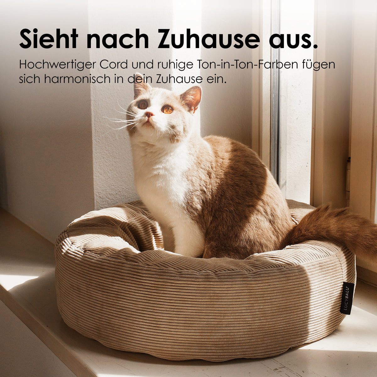 NEST kattenmand