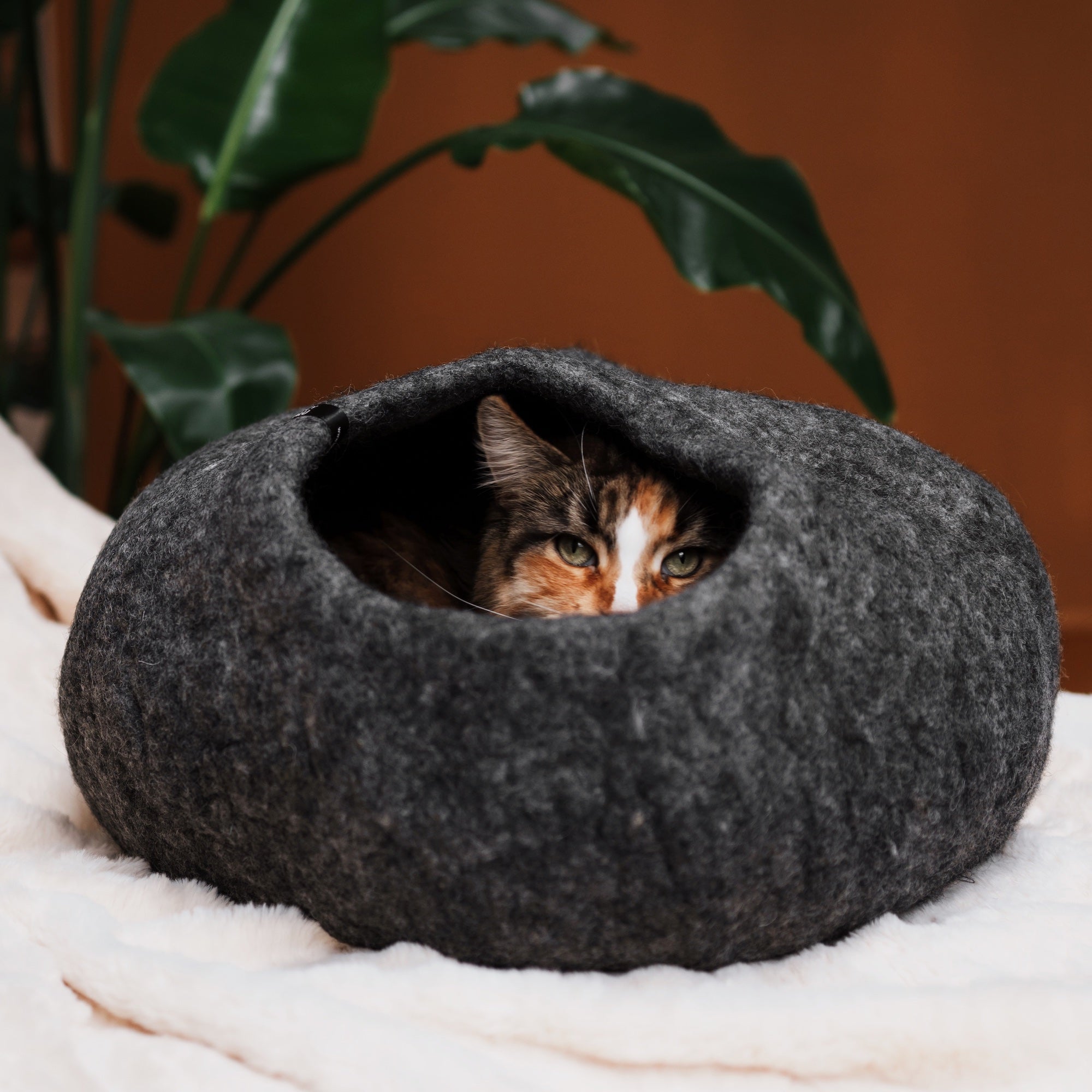 Tipi haut de gamme pour chat - Feutre de laine - Gamme Pet Interiors