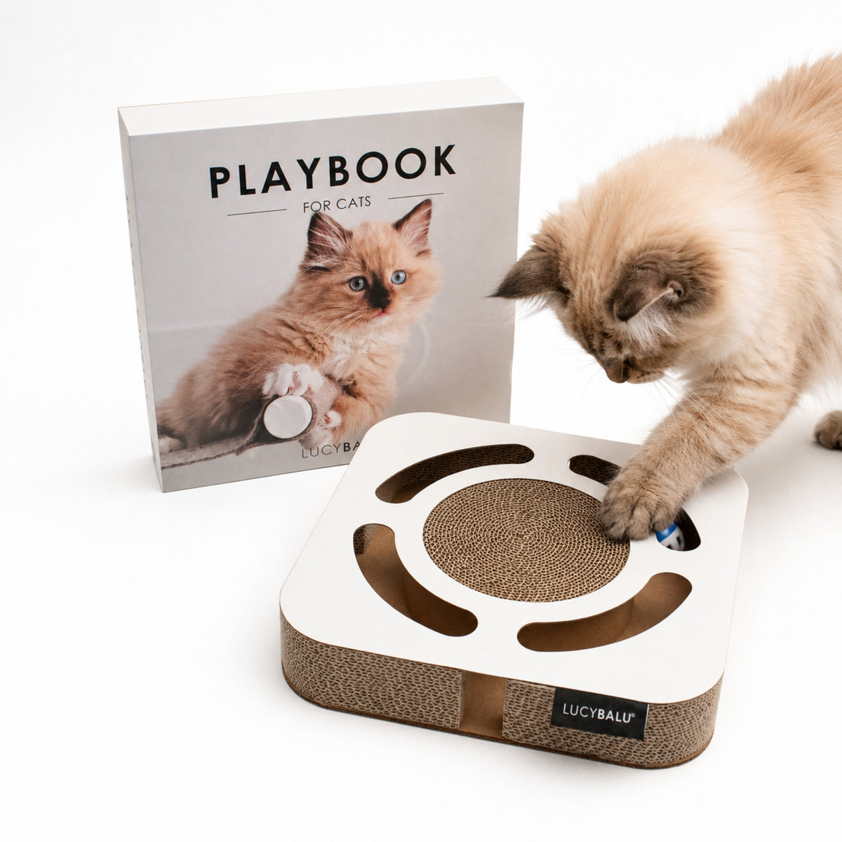PLAYBOOK Giocattolo interattivo
