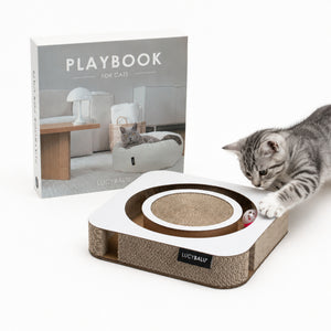 PLAYBOOK Giocattolo interattivo