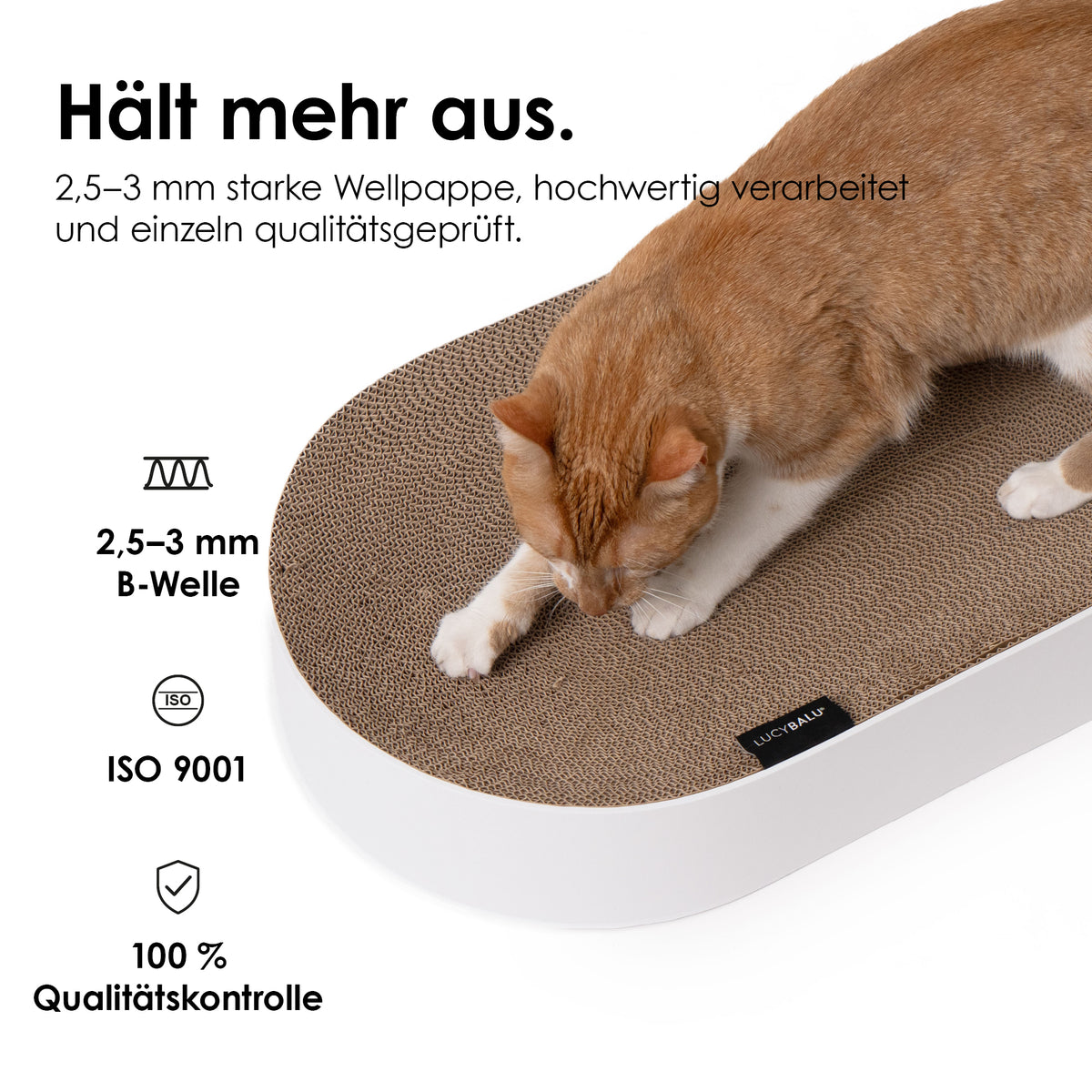 SCRATCHBED Kartonbett