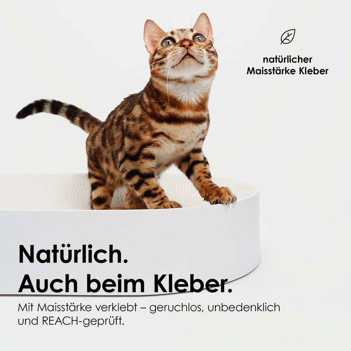 SCRATCHBED Kartonbett