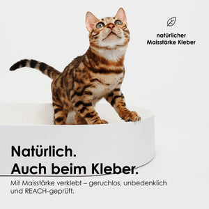 SCRATCHBED Kartonbett