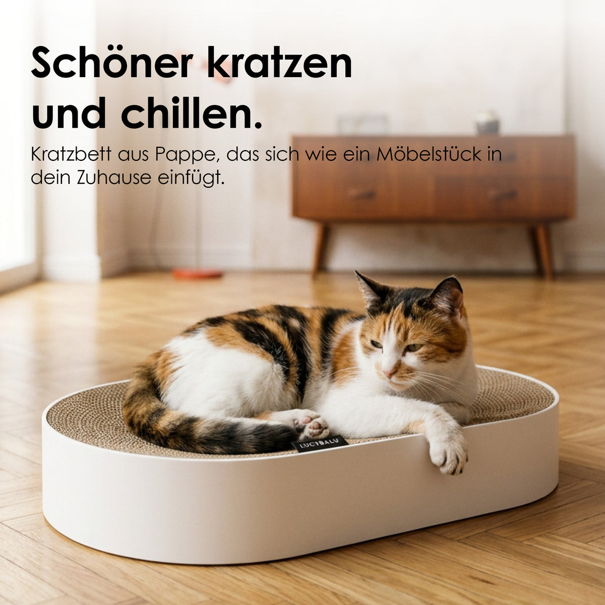 SCRATCHBED Kartonbett