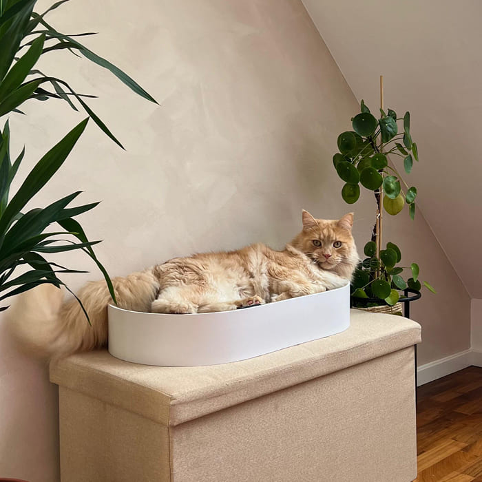 Cardboard cat bed - High-quality scratching bed for sharpening