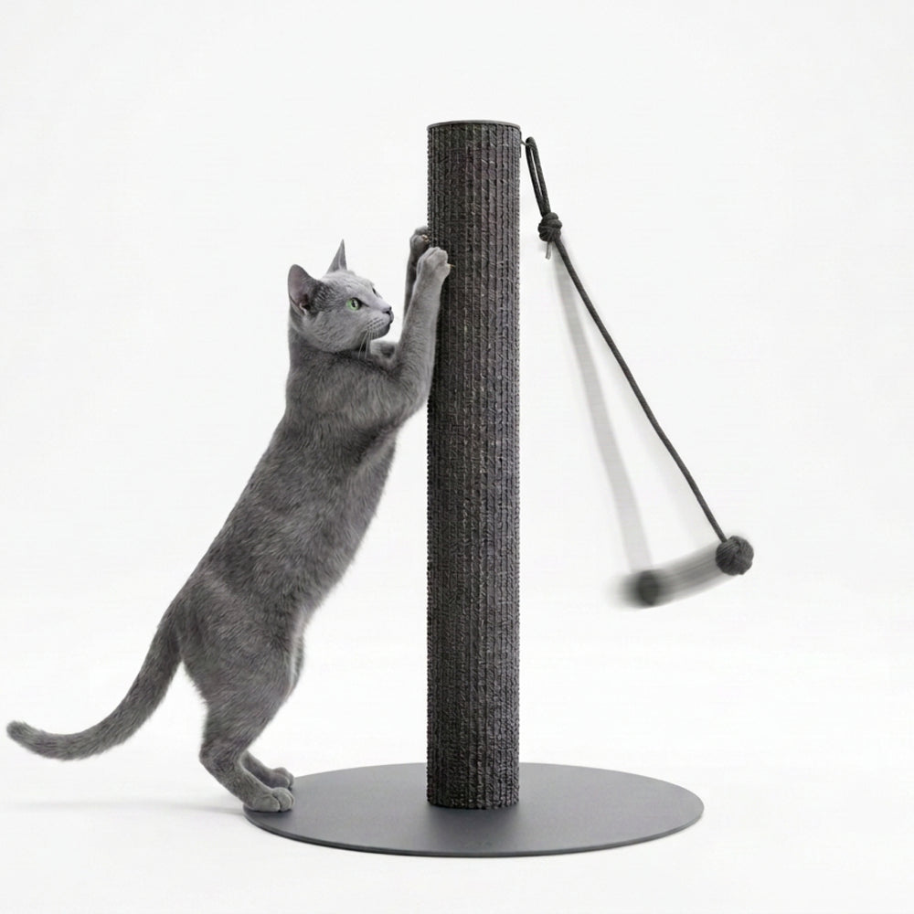 SCRATCHPOLE Kratzstamm in Sisal Anthrazit – Katze kratzt daran, Knot Ball schwingt