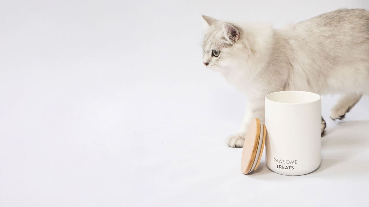 SNACK BAR Katzenfutter- & Leckerlidose