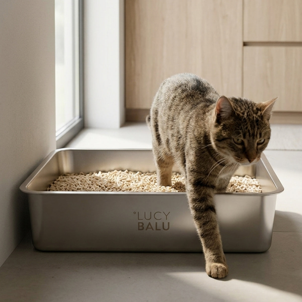 STEELOO cat litter box