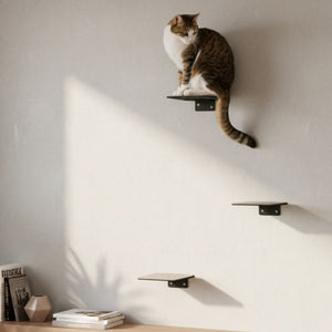 STEPS cat stairs