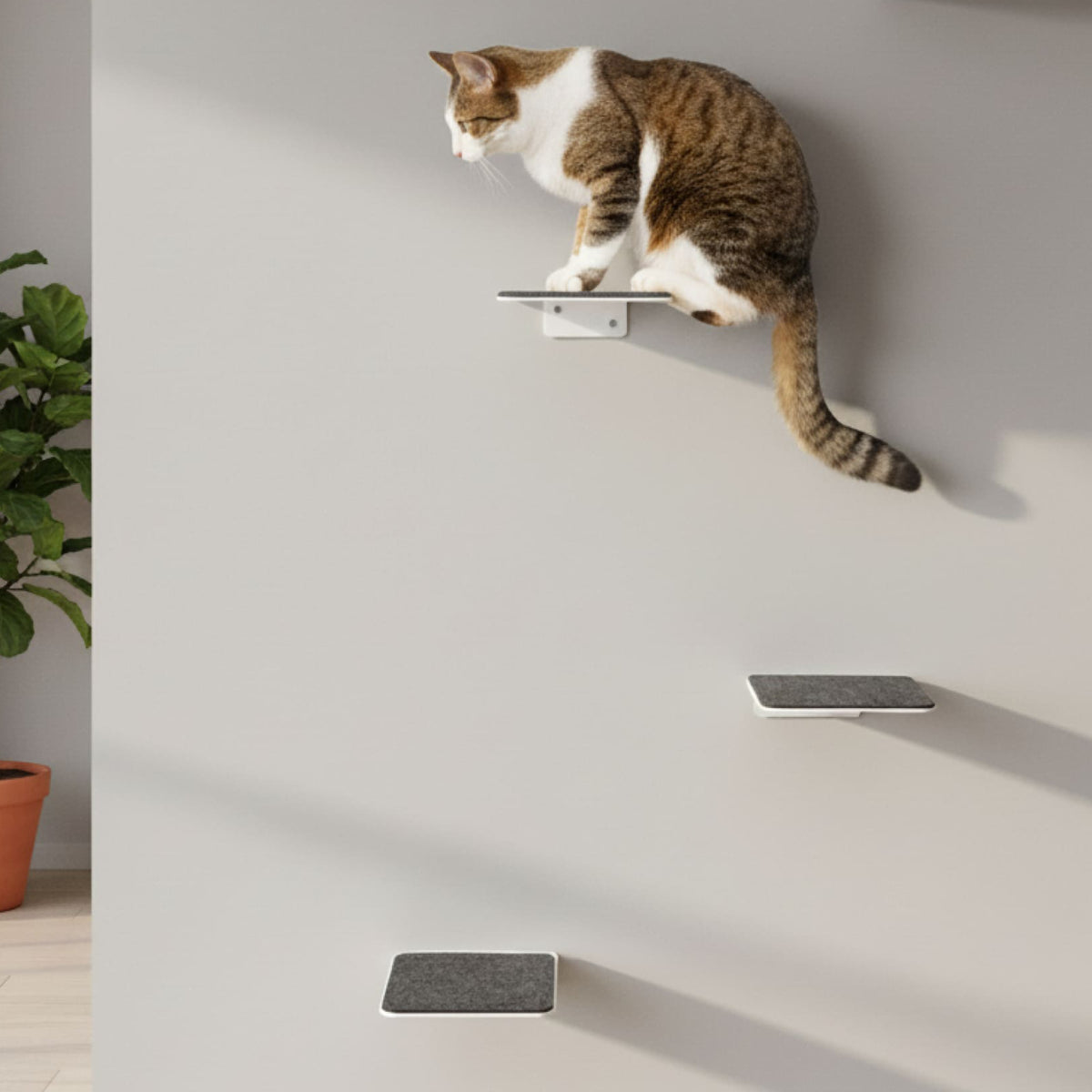 STEPS cat stairs