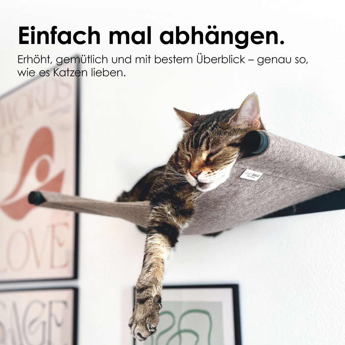 SWING Kattenhangmat voor de muur
