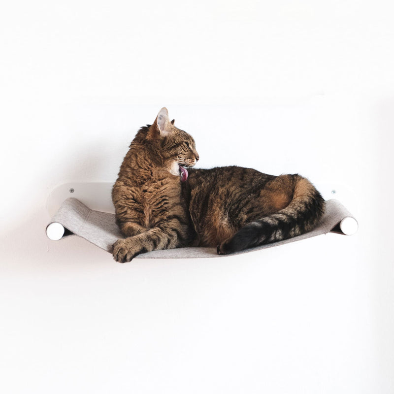 hängematte katzen wand LucyBalu® Katzenhängematte