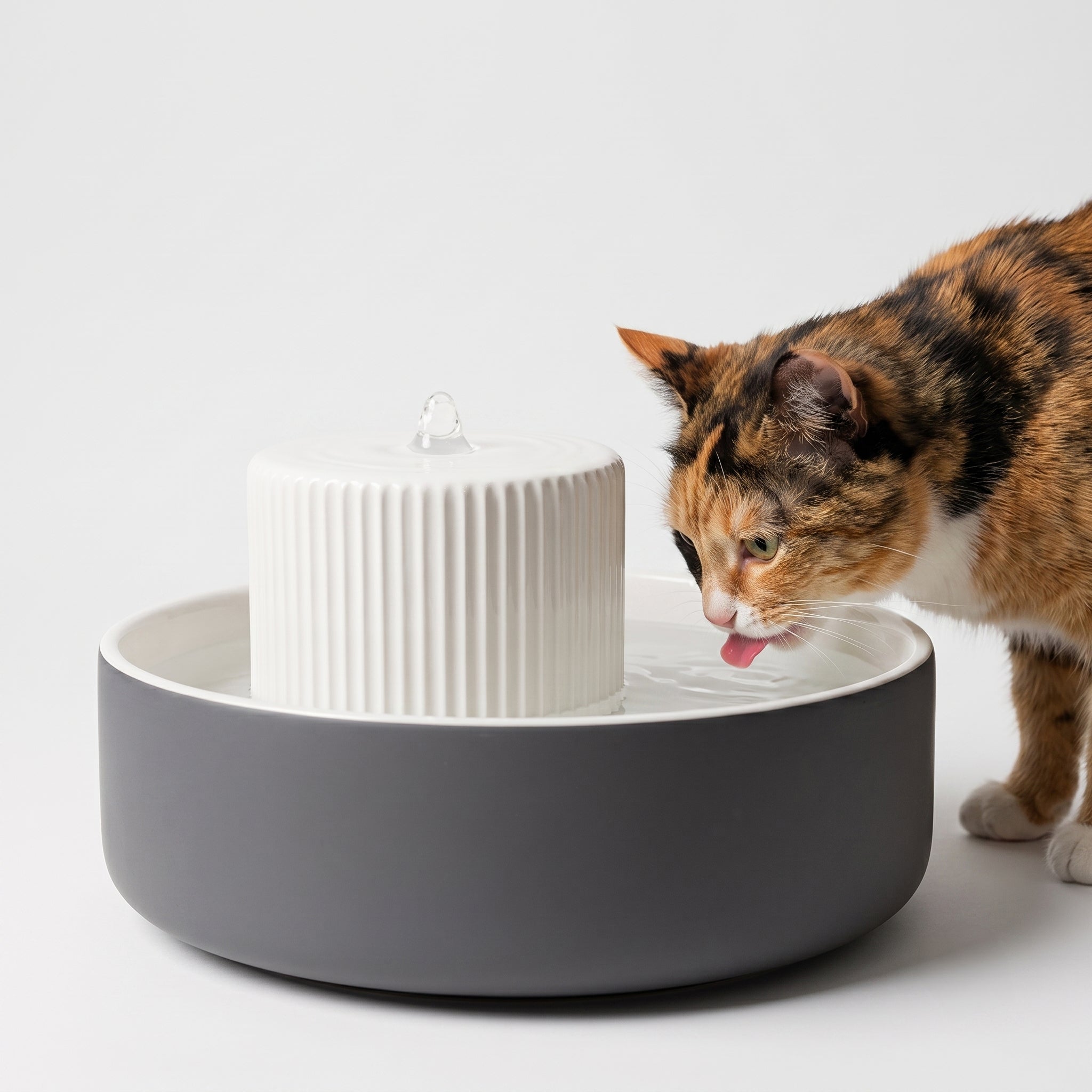 LucyBalu® Ceramic Cat Water Fountain - TREVI