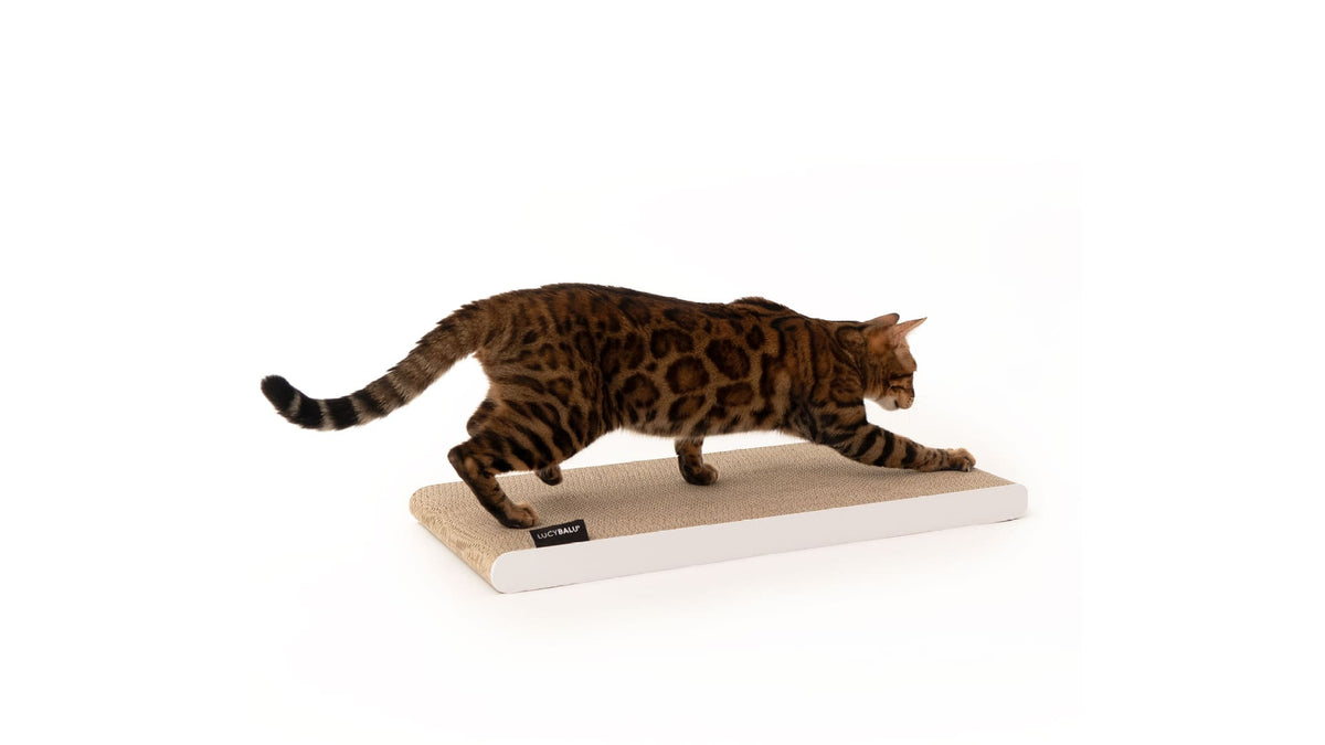 SCRATCHPAPER Kratzpappe