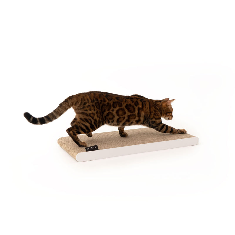 SCRATCHPAPER Kratzpappe