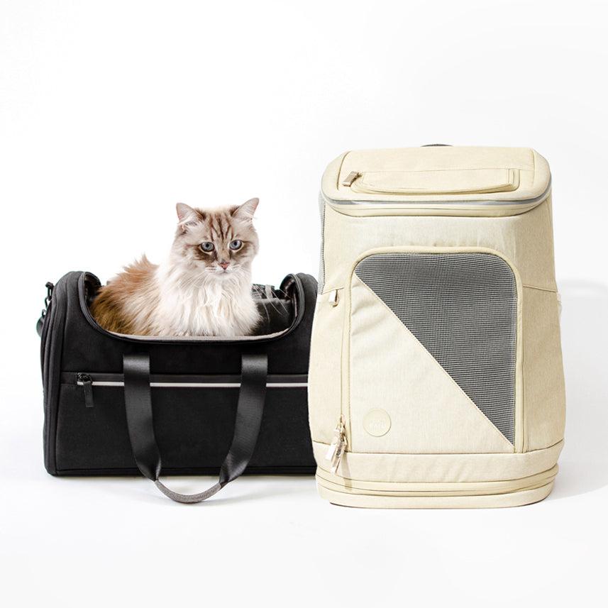 Jouets et accessoires design pour chat - Bagane