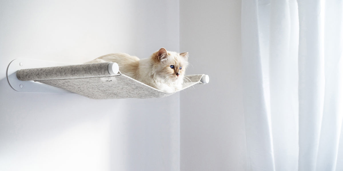 Our mission: making life with cats more beautiful.