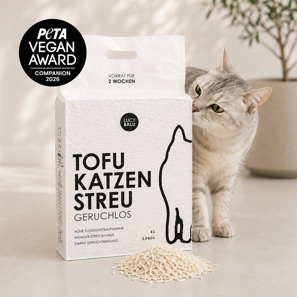 Chat avec la litière agglomérante durable TOFU, variante sans parfum