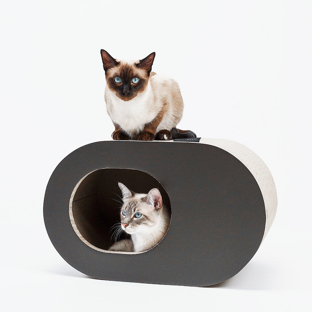 PAPERCAVE cardboard cat cave in black, Siamese cat sitting on top while a second cat peeks out of the opening