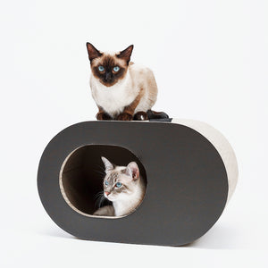 PAPERCAVE cat cave