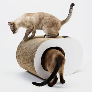 PAPERCAVE cat cave