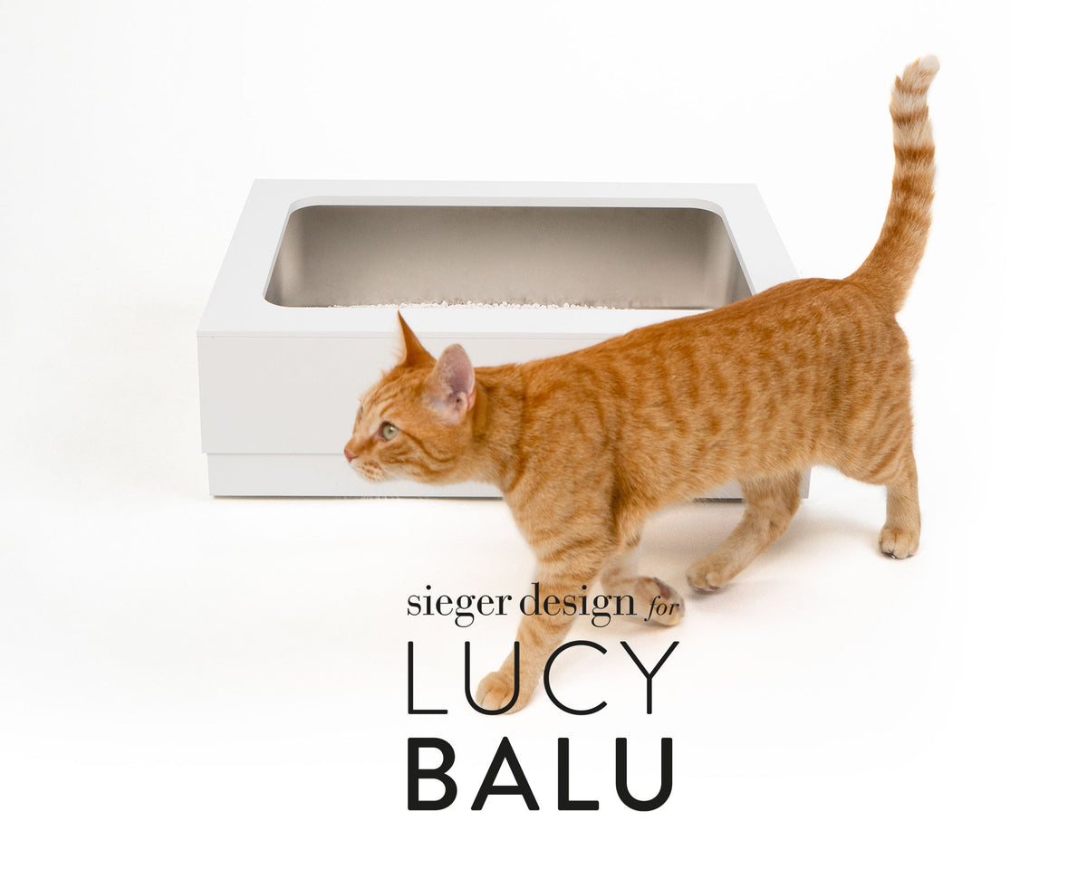 Rot getigerte Katze läuft an einer weißen Katzentoilette mit Einsatz aus Edelstahl vorbei, darunter das Logo sieger design for LucyBalu.