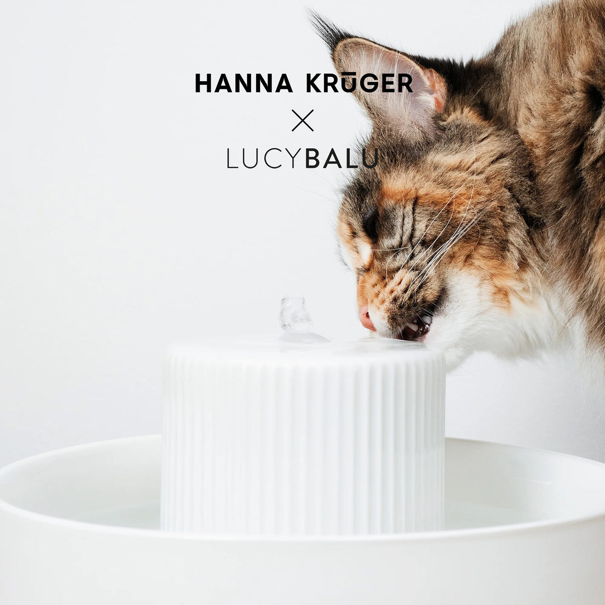 Langhaarige Tabby-Katze trinkt aus einem weißen Trinkbrunnen mit Rillen-Design, darüber das Logo Hanna Krüger x LucyBalu.