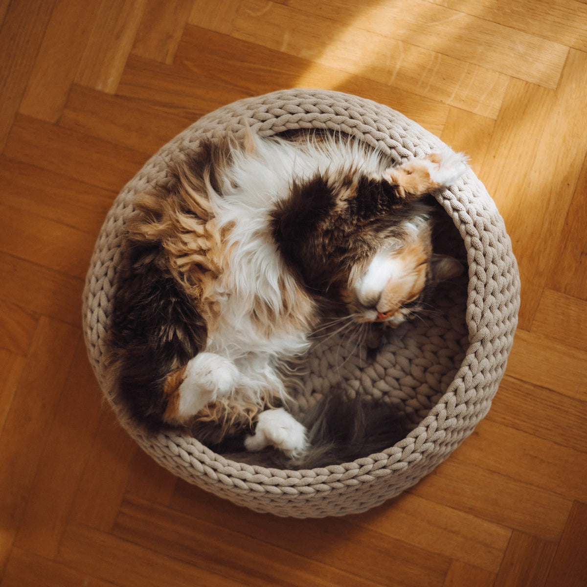 B-Stock: Basket cat bed