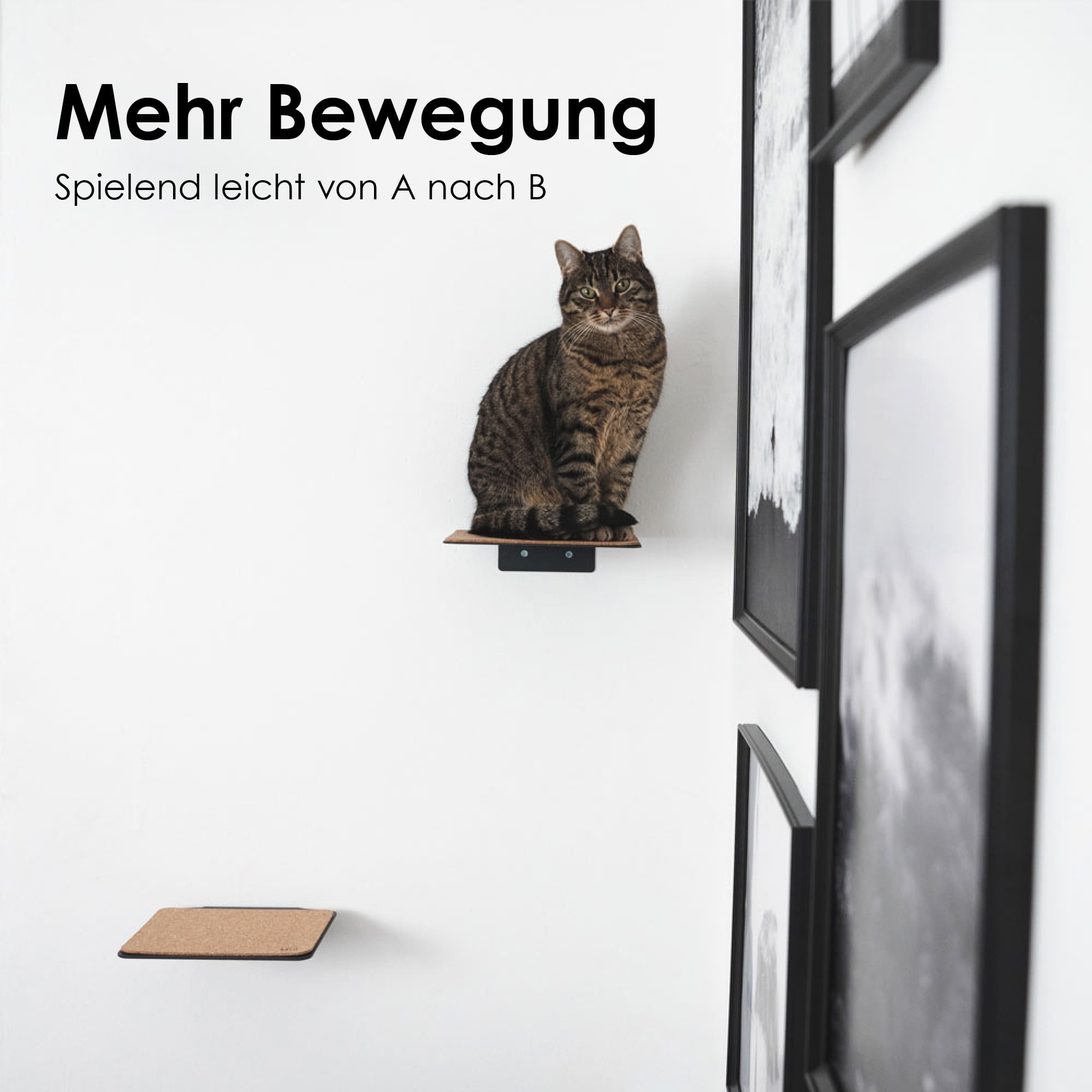 Yummyfood Katzentreppe Holz Katzenleiter Katzenstuf Produktbild-Vorschau 6