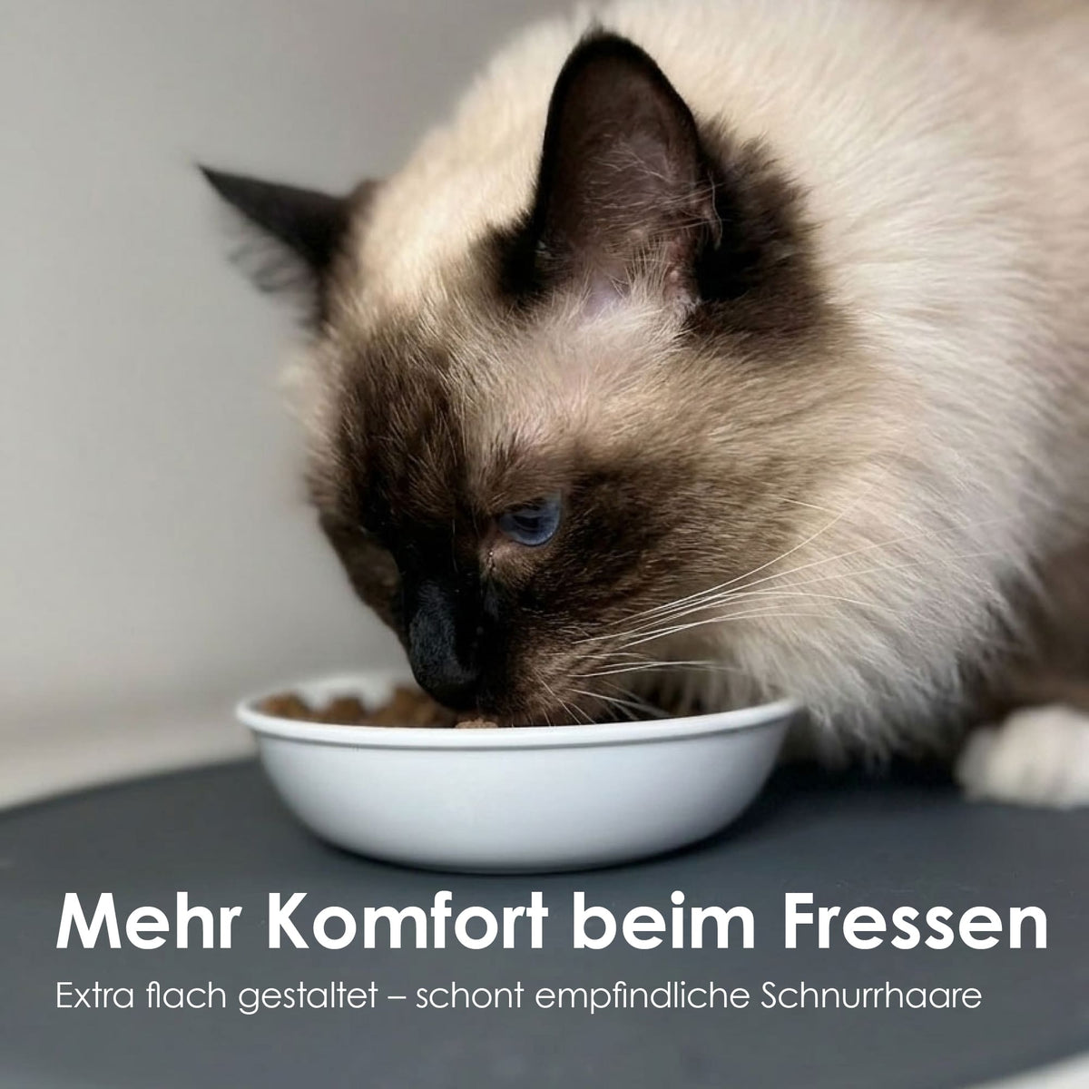 BOWL Melamin Katzennapf