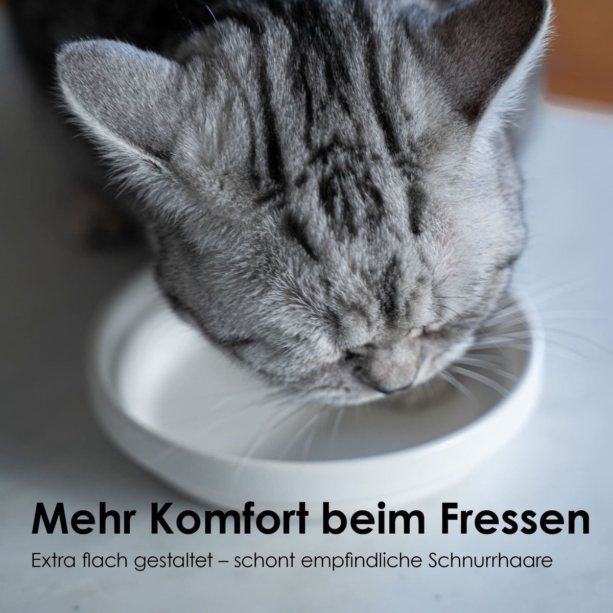 BOWL porcelain cat food bowl