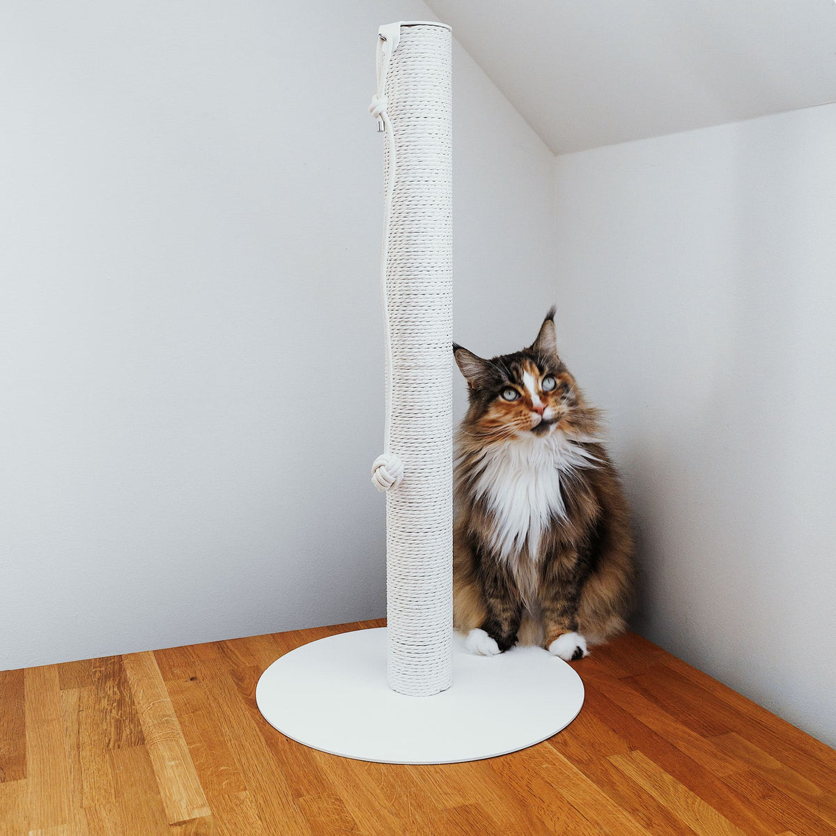 PAPERPOLE free-standing scratching post