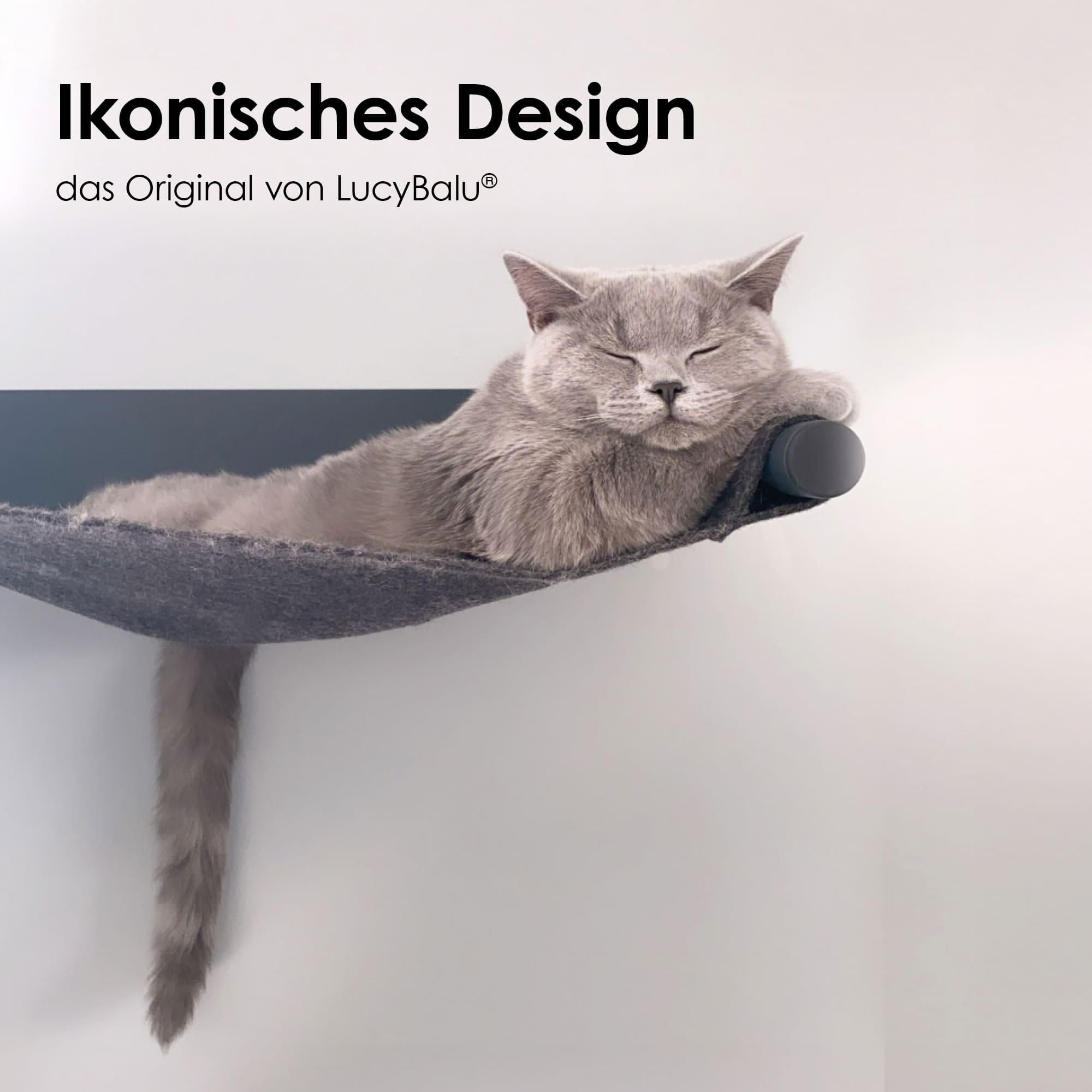 Graue Katze liegt entspannt auf einer dunkelgrauen Wandhängematte aus Filz mit schwarzer Metallhalterung – ikonisches Design von LucyBalu.