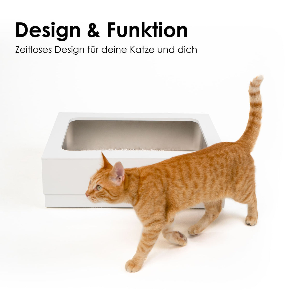 Designer Katzentoilette