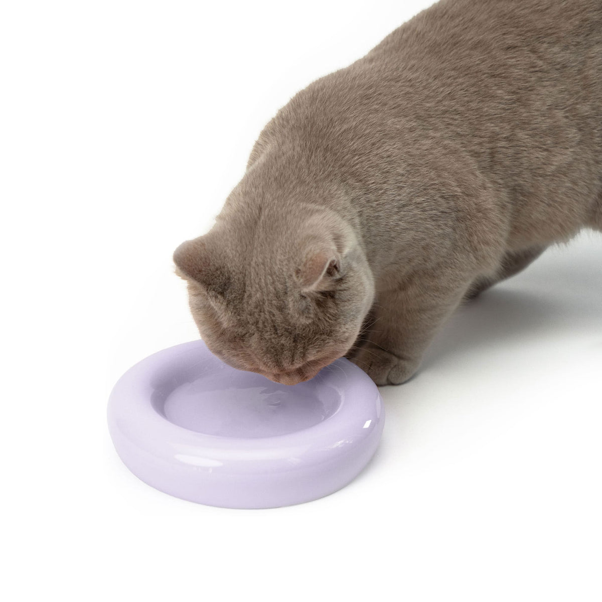 DROP cat food bowl