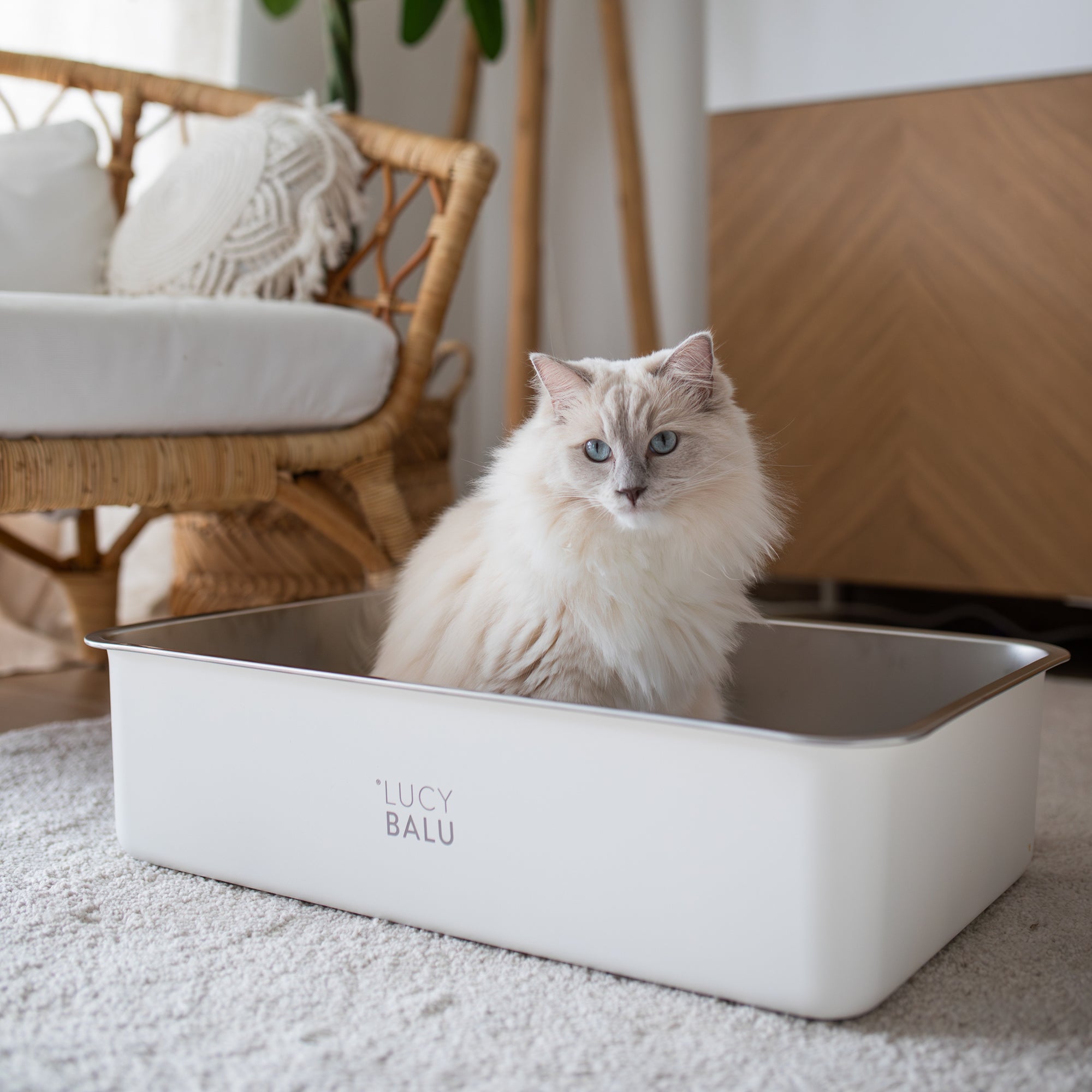 LucyBalu® Stainless Steel Litter Box XL - STEELOO