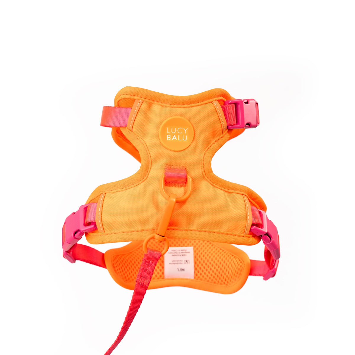 LucyBalu® EXPLORER kattentuigje met riem | Ontsnappingsbestendig kattentuigje met AirTag compartiment | borsttuigje voor katten met kattenriem | veiligheidstuigje met riem voor katten | Leo XS/S LucyBalu® EXPLORER kattentuigje met riem | Ontsnappingsbestendig kattentuigje met AirTag compartiment | borsttuigje voor katten met kattenriem | veiligheidstuigje met riem voor katten | Leo XS/S