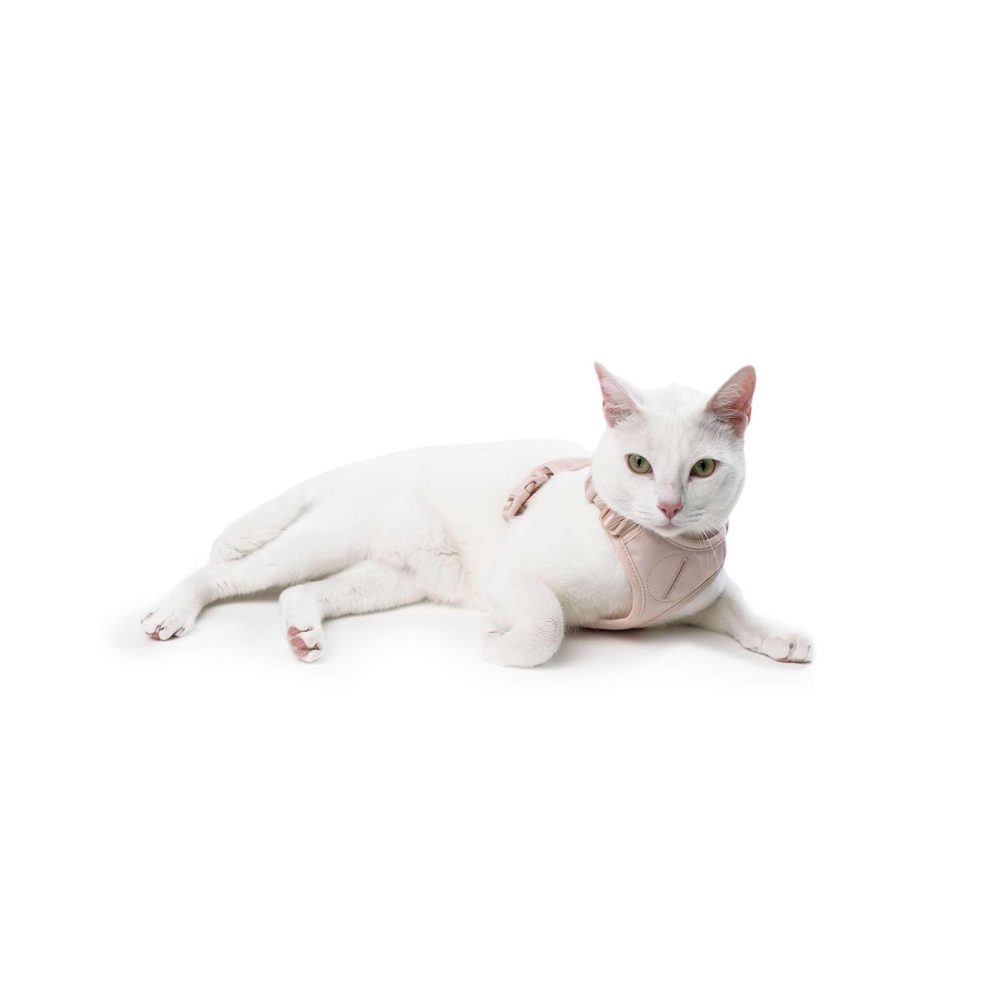 LucyBalu® Cat Harness with Leash - Hello Kitty Edition