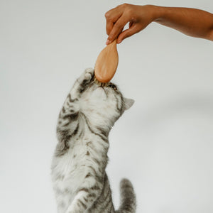 FIGARO Katzenbürste