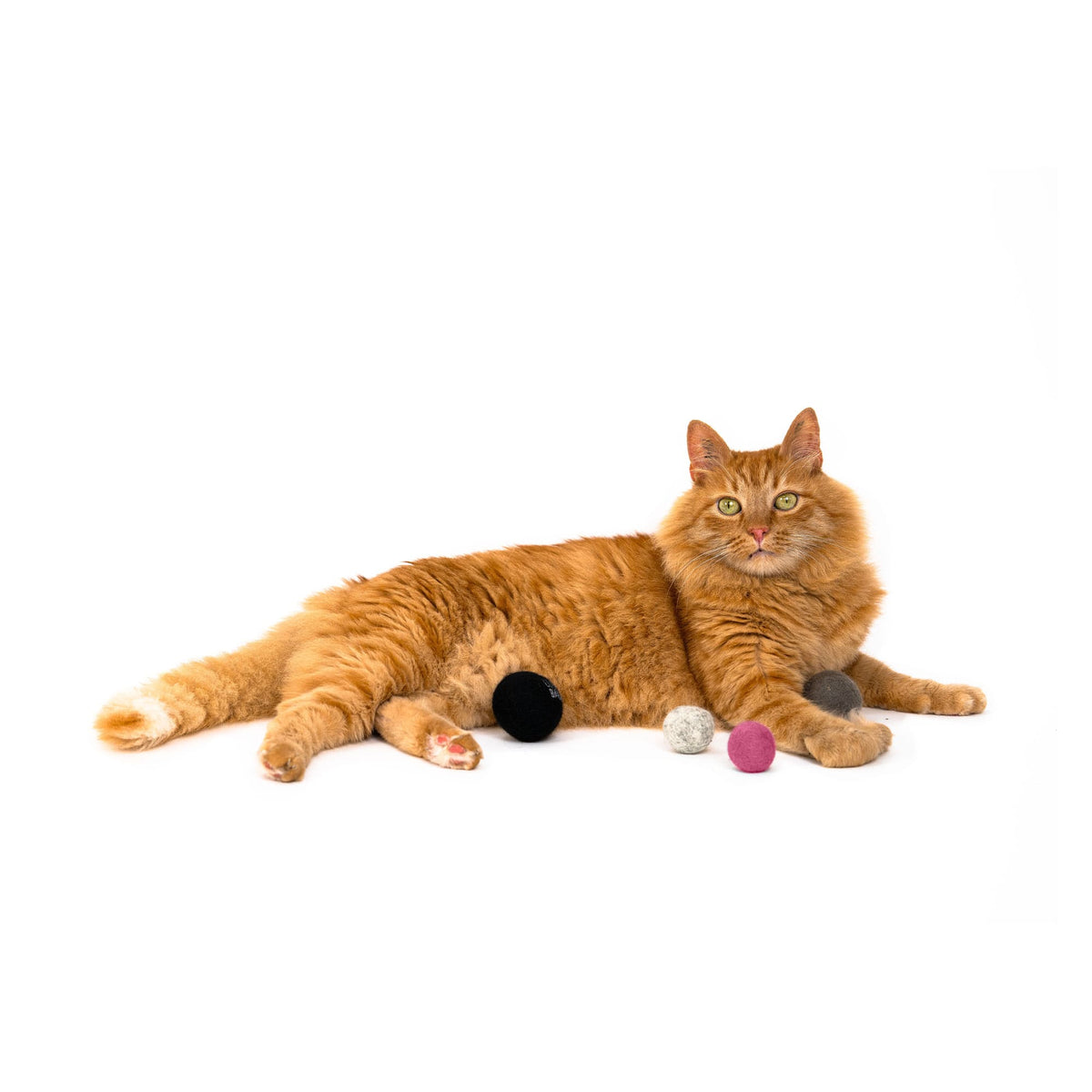 JOY BAG - Felt balls for cats