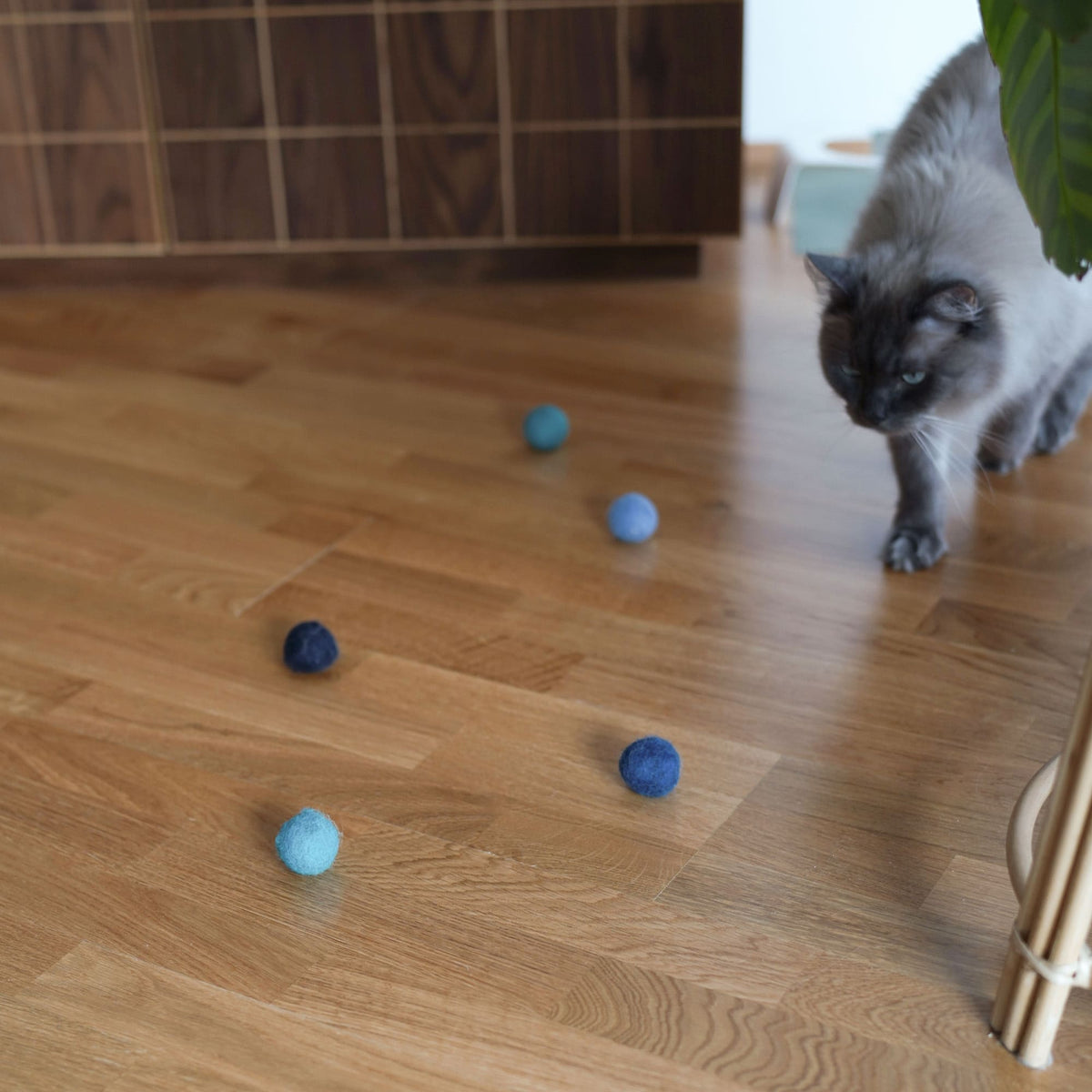 OCEAN VIBES Filzbälle