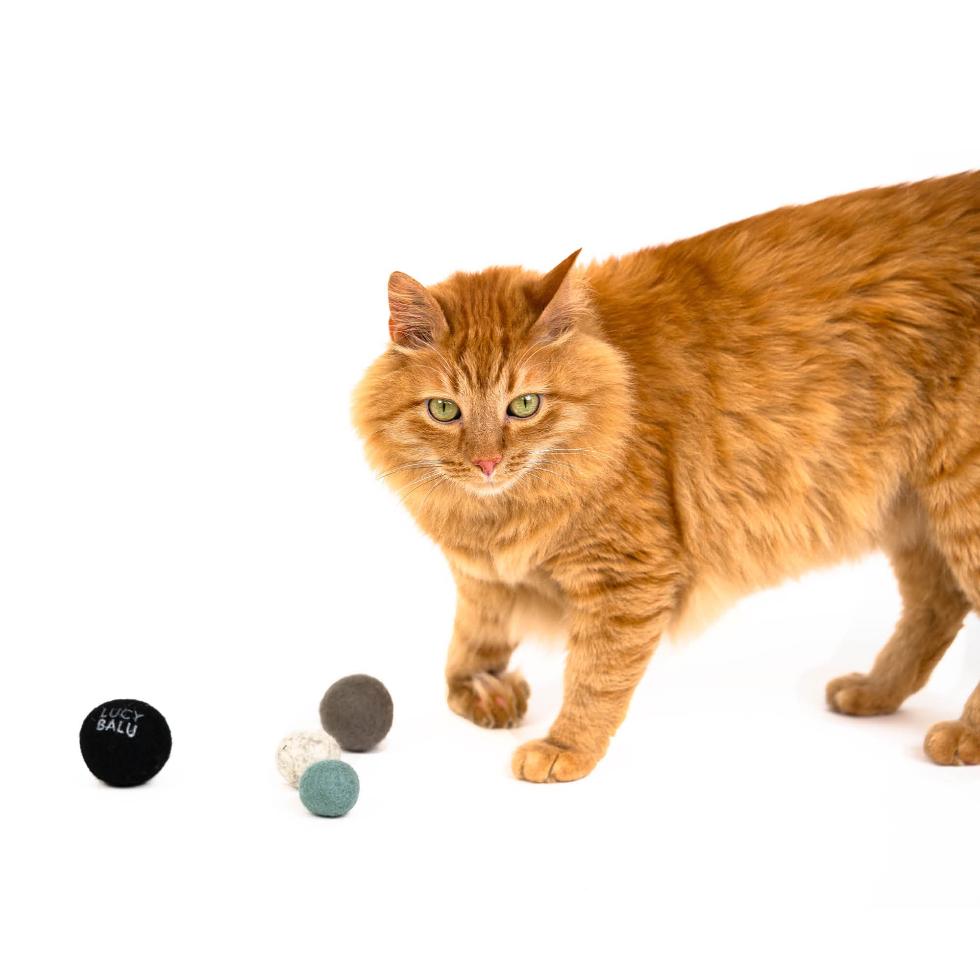 LucyBalu - Filzbälle für Katzen JOY BAG Katzenspielzeug