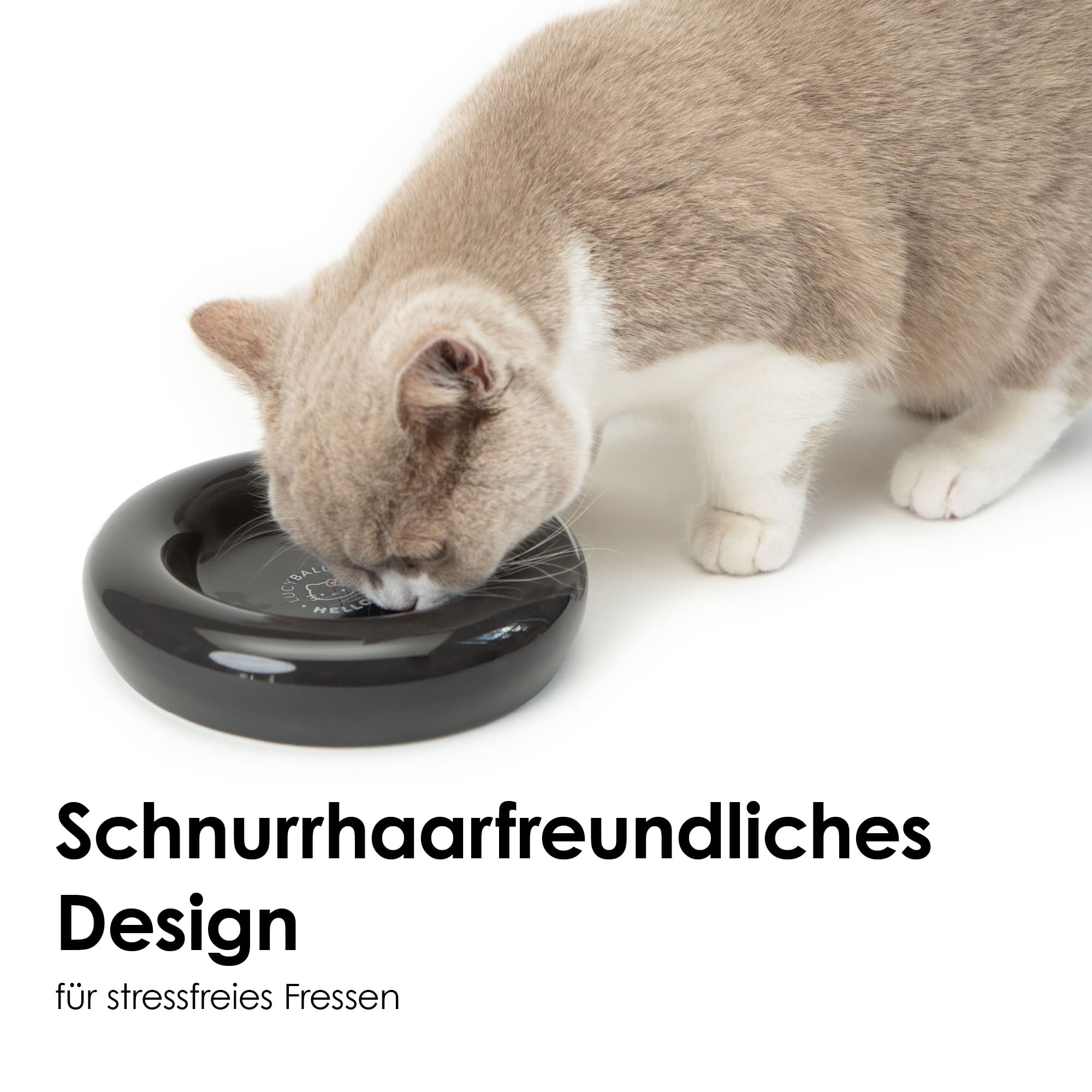 LucyBalu® Katzennapf aus Porzellan - Hello Kitty Edition