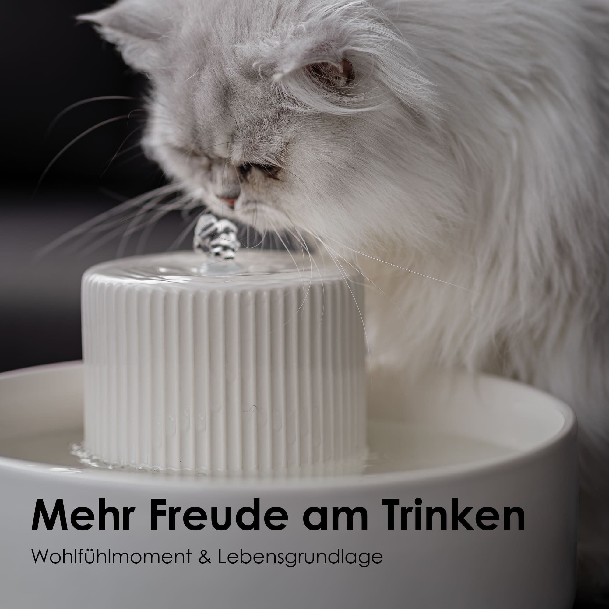 LucyBalu - Drinking Fountain TREVI for Cats made of Ceramics