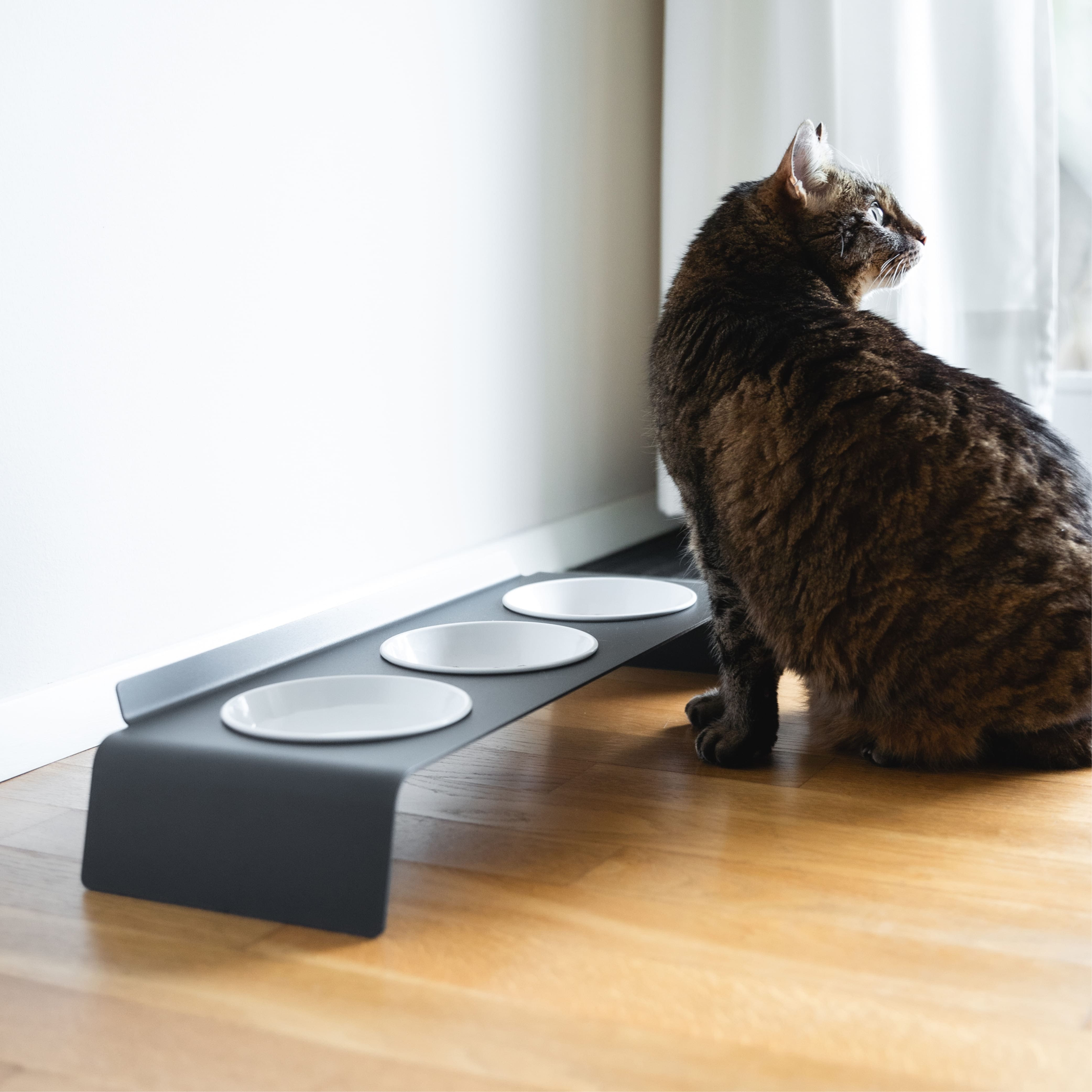 Futternapf und Wassernapf fr Katzen Getaggt "Napf" - LucyBalu