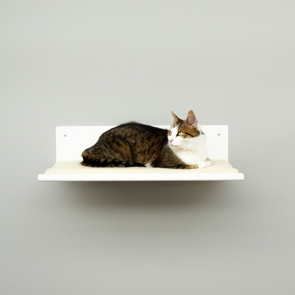 B-Stock: STRAIGHT Cat wall board